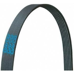 Order Serpentine Belt by DAYCO - 5030300 For Your Vehicle