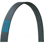 Order DAYCO - 5070663 - Serpentine Belt For Your Vehicle