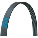 Order DAYCO - 5080810 - Serpentine Belt For Your Vehicle