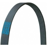 Order Serpentine Belt by DAYCO - E050265 For Your Vehicle