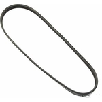 Purchase GATES - K040317SF - Serpentine Belt