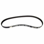 Order Serpentine Belt by MOTORCRAFT - JK6-401C For Your Vehicle