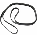 Order MOTORCRAFT - JK6-455D - Serpentine Belt For Your Vehicle