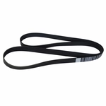 Order Serpentine Belt by MOTORCRAFT - JK8-872E For Your Vehicle