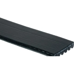 Order ROAD MAX - 6K696AP - Belt For Your Vehicle