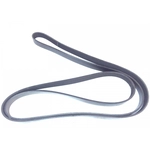 Order ROAD MAX - 6K915AP - Serpentine Belt For Your Vehicle