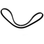 Order SKP - SK030293 - Serpentine Belt For Your Vehicle