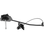 Order DORMAN - 925-504 - Spare Tire Hoist Assembly For Your Vehicle