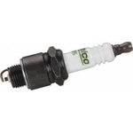 Purchase ACDELCO PROFESSIONAL - R43S - Spark Plug