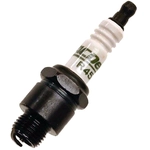 Order ACDELCO - R45S - Spark Plug For Your Vehicle