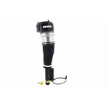 Order FCS AUTOMOTIVE - 99069 - Air Suspension Strut For Your Vehicle