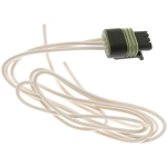 Order BWD AUTOMOTIVE - PT175 - Engine Coolant Temperature Sensor Connector For Your Vehicle