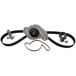 Purchase GATES - TCKWP295D - Timing Belt Kit With Water Pump