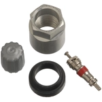 Order SCHRADER AUTOMOTIVE - 20006-25 - TPMS Sensor Service Kit For Your Vehicle