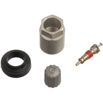 Order SCHRADER AUTOMOTIVE - 20007-25 - TPMS Sensor Service Kit For Your Vehicle