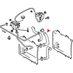 Order Upper Radiator Or Coolant Hose by URO - 2025011282 For Your Vehicle