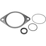 Order DORMAN (OE SOLUTIONS) - 904-335 - Vacuum Pump Repair Kit For Your Vehicle