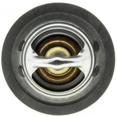 195f/91c Thermostat by MOTORAD - 243-195 pa8