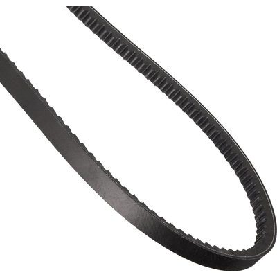 CONTINENTAL - 15572 - V-Groove Serpentine Belt pa2