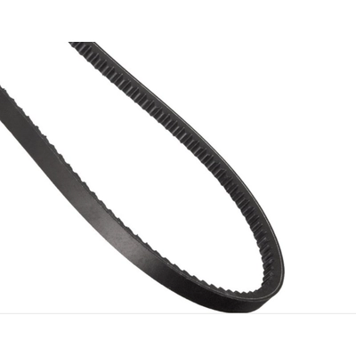 CONTINENTAL - 15591 - Accessory Drive Belt - Automotive V-Belt pa1