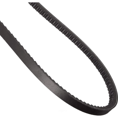 CONTINENTAL - 17461 - Serpentine Belt - Automotive V-Belt pa3