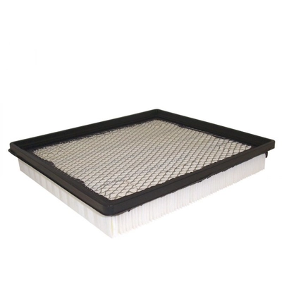 ACDELCO - A3128CF - Durapack Air Filter pa1