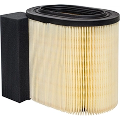 Air Filter by BALDWIN - PA10061 pa1