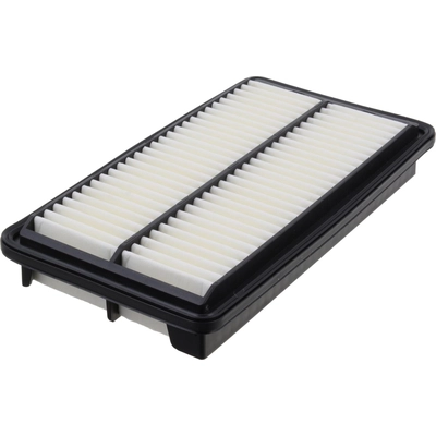 FRAM - CA12061 - Air Filter pa2