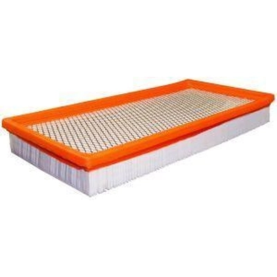 FRAM - CA3901 - Air Filter pa2