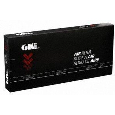 Air Filter by G.K. INDUSTRIES - AF10094 pa2