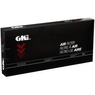 Air Filter by G.K. INDUSTRIES - AF10094 pa3