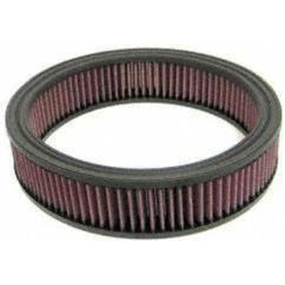 Air Filter by K & N ENGINEERING - E1220 pa1