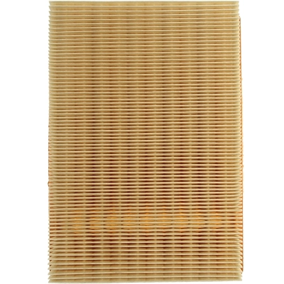 MAHLE ORIGINAL - LX343 - Air Filter pa1