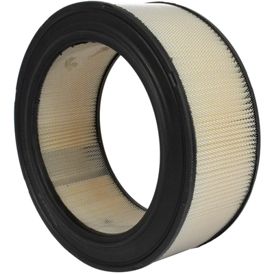 Air Filter by MOTORCRAFT - FA1079 pa2