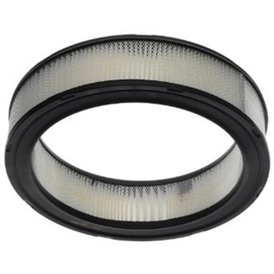 WIX - 42097 - Air Filter pa2