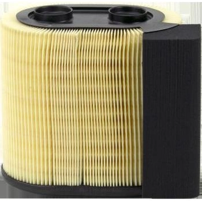 WIX - WA10679 - Air Filter pa4