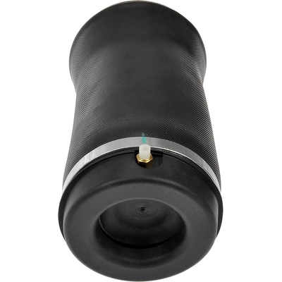 DORMAN - 949-750 - Air Suspension Air Spring pa1