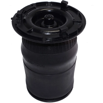 Air Spring by WESTAR INDUSTRIES - AS7056 pa1