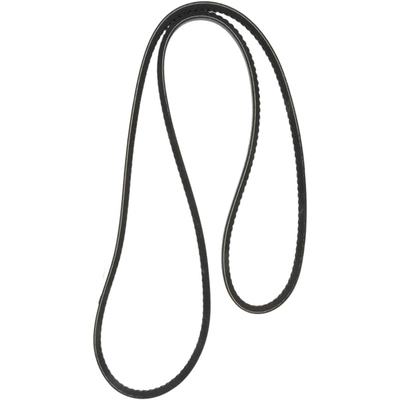 CONTINENTAL - 15591 - Accessory Drive Belt - Automotive V- Belt pa1