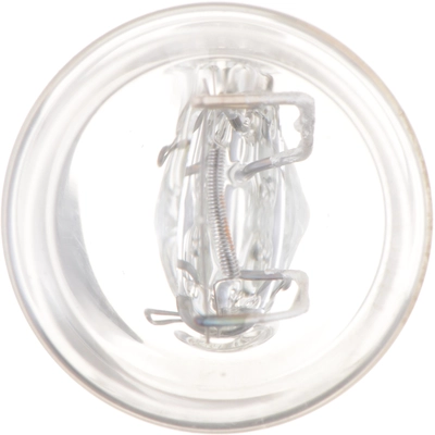 Backup Light by PHILIPS - 7443B2 pa13