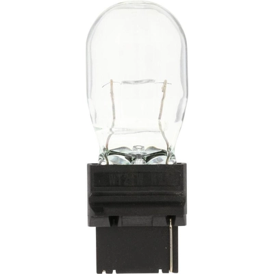 PHILIPS - WT21WCP - Turn Signal Light Bulb pa2