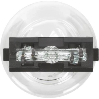 Backup Light by WAGNER - BP3157LL pa6