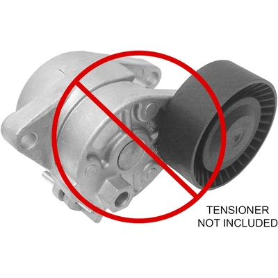 URO - 11281748131 - Belt Tensioner Pulley pa1