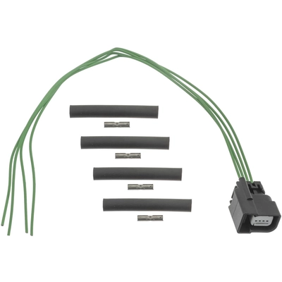 BLUE STREAK (HYGRADE MOTOR) - S3016 - Keyless Entry Module Connector pa1