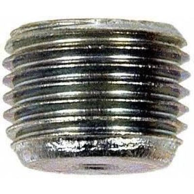 Cylinder Head End Plug by DORMAN/AUTOGRADE - 090-046 pa1