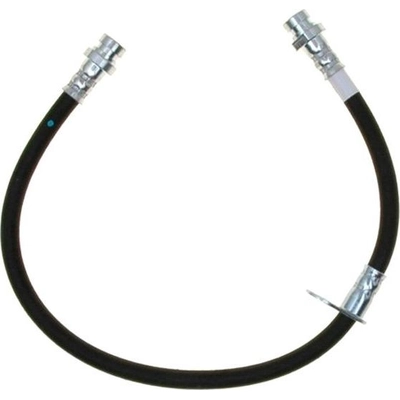 Front Brake Hose by RAYBESTOS - BH383137 pa13