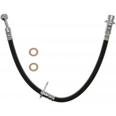 Front Brake Hose by RAYBESTOS - BH384079 pa4