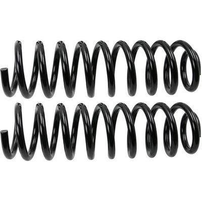 Front Coil Springs by MOOG - 81738 pa1