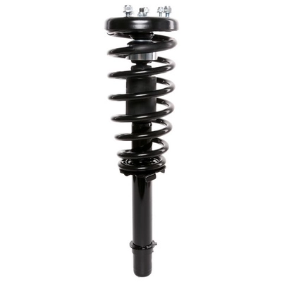 PRT - 811046R - Suspension Strut and Coil Spring Assembly pa2