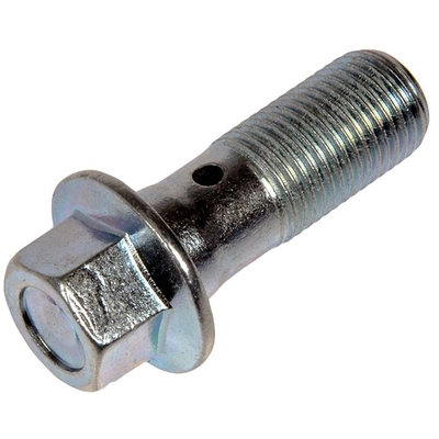 DORMAN - 14100 - Brake Hose Banjo Bolt pa1